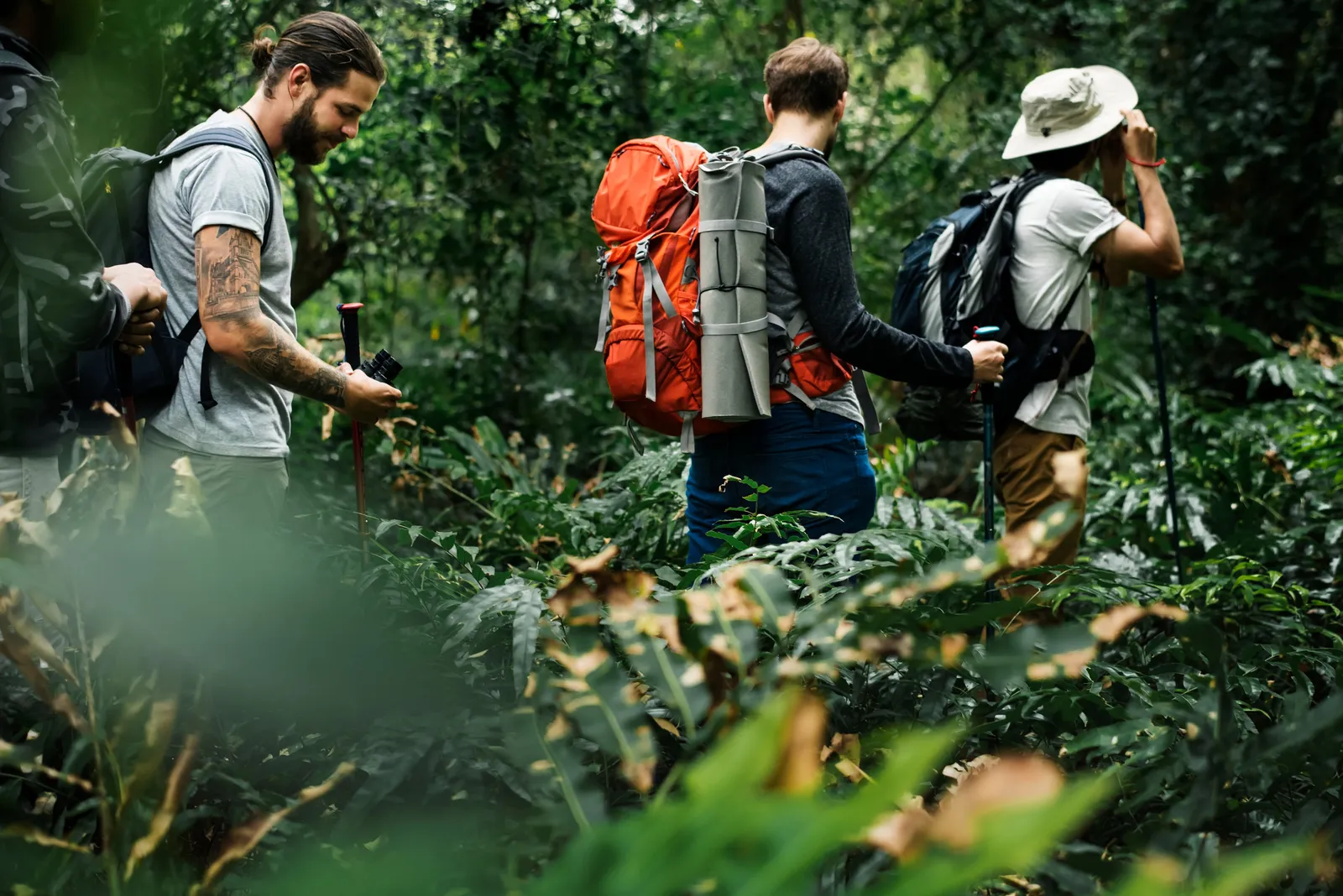 A small group of trekkers walking together on a forest trail
